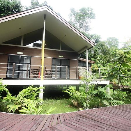 Mulu National Park Otel Dış mekan fotoğraf