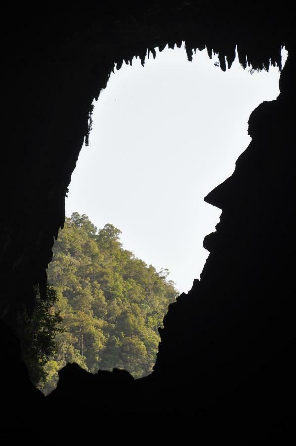 Mulu National Park Otel Dış mekan fotoğraf
